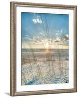 Among the Grass-Robert Jones-Framed Art Print