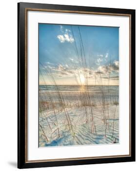 Among the Grass-Robert Jones-Framed Art Print