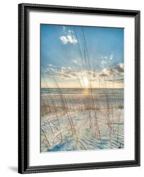 Among the Grass-Robert Jones-Framed Art Print