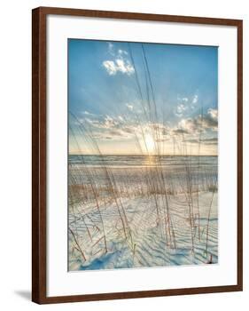 Among the Grass-Robert Jones-Framed Art Print