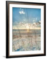 Among the Grass-Robert Jones-Framed Art Print