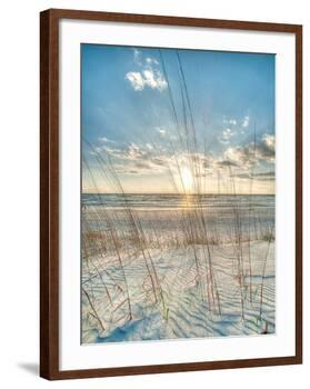 Among the Grass-Robert Jones-Framed Art Print