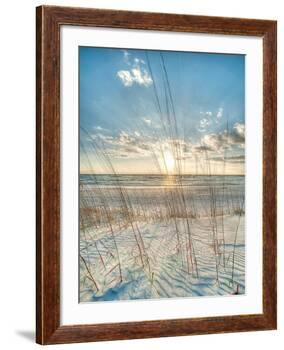 Among the Grass-Robert Jones-Framed Art Print