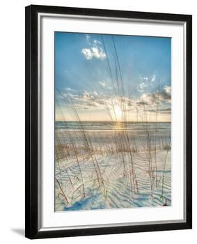 Among the Grass-Robert Jones-Framed Art Print
