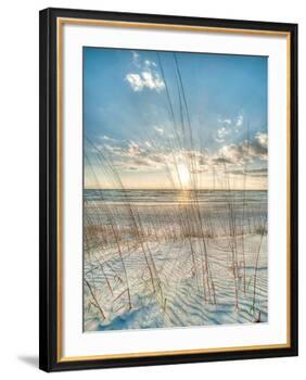 Among the Grass-Robert Jones-Framed Art Print