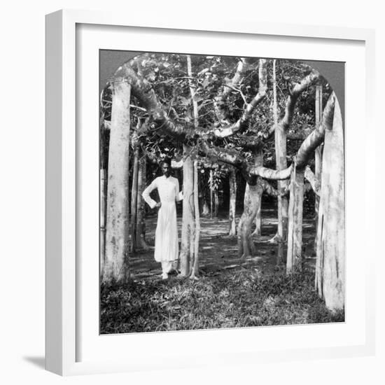 Among the Roots of a Banyan Tree, Calcutta, India, 1900s-Underwood & Underwood-Framed Photographic Print