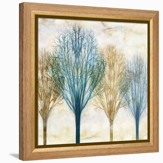 Among the Trees I-Chris Donovan-Framed Stretched Canvas