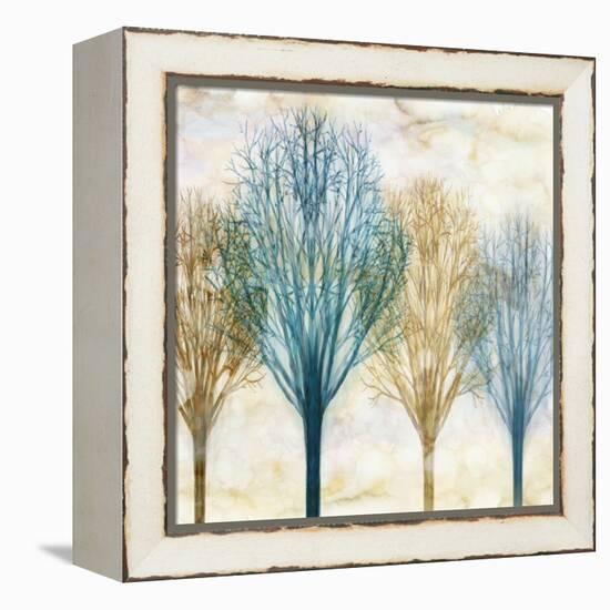 Among the Trees I-Chris Donovan-Framed Stretched Canvas