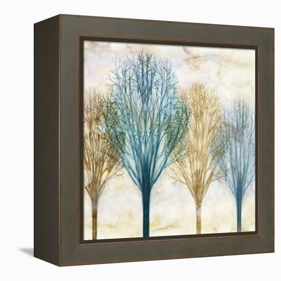 Among the Trees I-Chris Donovan-Framed Stretched Canvas