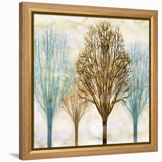 Among the Trees II-Chris Donovan-Framed Stretched Canvas