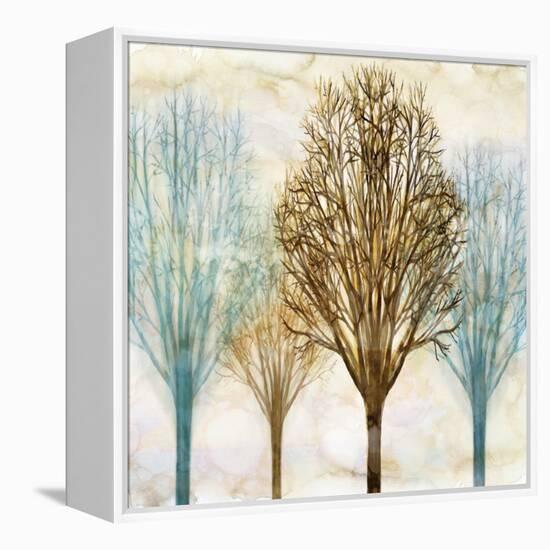 Among the Trees II-Chris Donovan-Framed Stretched Canvas