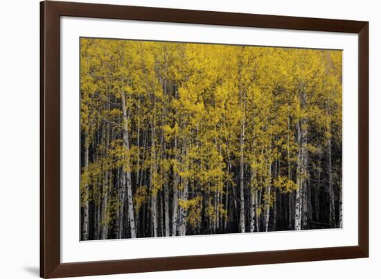 Among Trees-Irene Suchocki-Framed Giclee Print