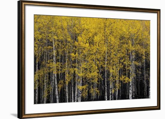 Among Trees-Irene Suchocki-Framed Giclee Print