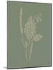Among Wildflowers I Sage-Leah York-Mounted Art Print
