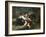 Amongst the Pets-John William Bottomley-Framed Giclee Print