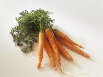 Fresh Carrots with Tops-Amos Schliack-Framed Premier Image Canvas