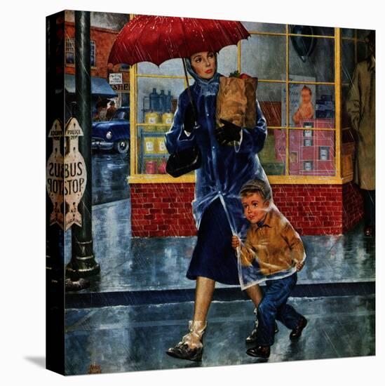 Stretched Canvas Print, , large