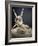 Amour et Psyche-Antonio Canova-Framed Giclee Print