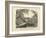 Amphibians and Fishes, C.1860-null-Framed Giclee Print