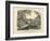 Amphibians and Fishes, C.1860-null-Framed Giclee Print