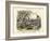 Amphibians and Fishes, C.1860-null-Framed Giclee Print