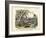 Amphibians and Fishes, C.1860-null-Framed Giclee Print