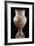 Amphora Depicting Apollo and Artemis-null-Framed Giclee Print