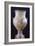 Amphora Depicting Chariot of Apollo, from Milos, Greece, 7th Century BC-null-Framed Giclee Print