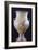 Amphora Depicting Chariot of Apollo, from Milos, Greece, 7th Century BC-null-Framed Giclee Print