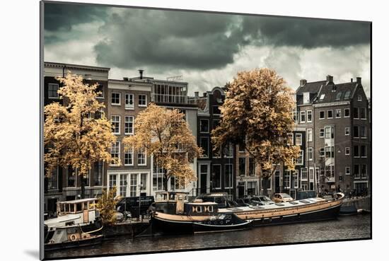 Amsterdam Autumn Colors-Erin Berzel-Mounted Photographic Print
