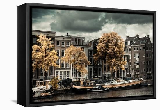 Amsterdam Autumn Colors-Erin Berzel-Framed Premier Image Canvas