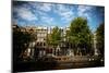 Amsterdam Canal Houses II-Erin Berzel-Mounted Photographic Print