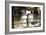 Amsterdam Gray Bicycle-Erin Berzel-Framed Photographic Print