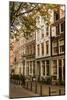 Amsterdam Neighborhood I-Erin Berzel-Mounted Photographic Print