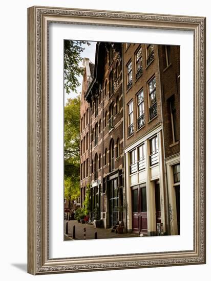 Amsterdam Neighborhood II-Erin Berzel-Framed Photographic Print