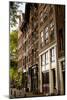 Amsterdam Neighborhood II-Erin Berzel-Mounted Photographic Print