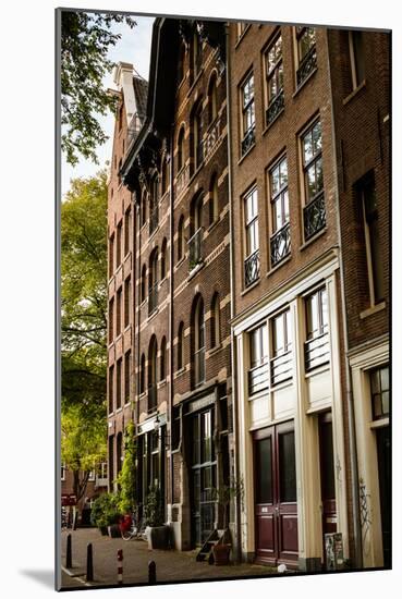 Amsterdam Neighborhood II-Erin Berzel-Mounted Photographic Print