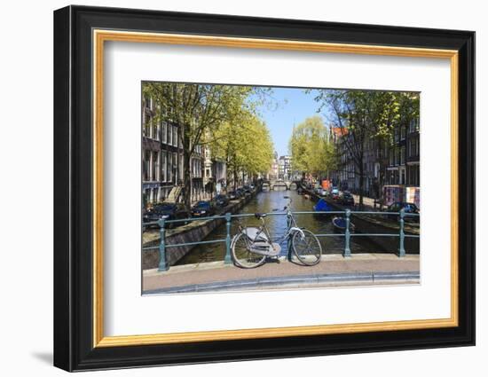 Amsterdam, Netherlands, Europe-Amanda Hall-Framed Photographic Print