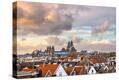 Stretched Canvas Print
