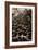 Amsterdam's Fietsflat I-Erin Berzel-Framed Photographic Print