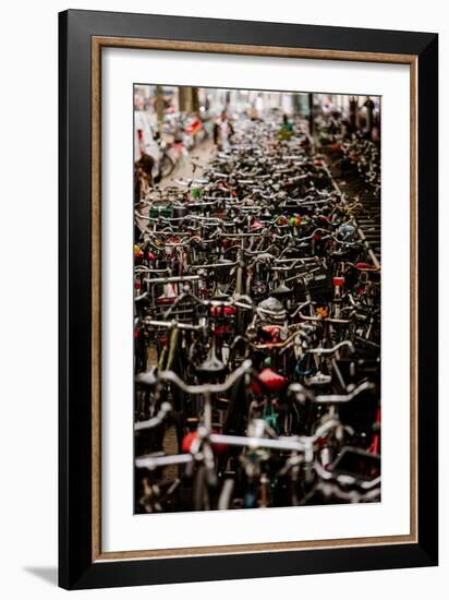 Amsterdam's Fietsflat I-Erin Berzel-Framed Photographic Print