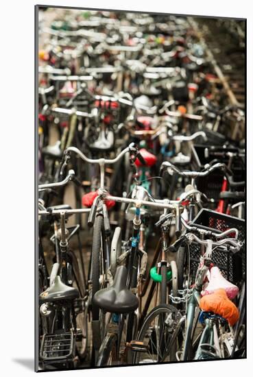 Amsterdam's Fietsflat II-Erin Berzel-Mounted Photographic Print