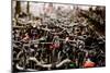 Amsterdam's Fietsflat III-Erin Berzel-Mounted Photographic Print