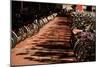 Amsterdam's Fietsflat IV-Erin Berzel-Mounted Photographic Print