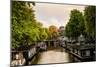 Amsterdam Singel Canal IV-Erin Berzel-Mounted Photographic Print