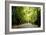 Amsterdam Vondelpark I-Erin Berzel-Framed Photographic Print