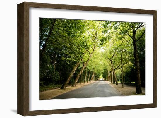 Amsterdam Vondelpark I-Erin Berzel-Framed Photographic Print