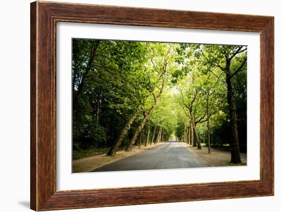 Amsterdam Vondelpark I-Erin Berzel-Framed Photographic Print