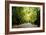 Amsterdam Vondelpark I-Erin Berzel-Framed Photographic Print