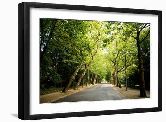 Amsterdam Vondelpark I-Erin Berzel-Framed Photographic Print